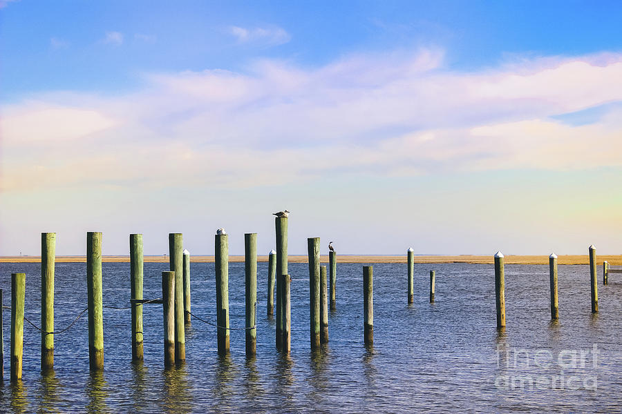 Peaceful Tranquility Photograph by Colleen Kammerer