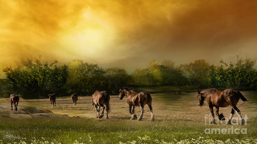 Horse Photograph - Peaceful Travels by Jacque The Muse Photography