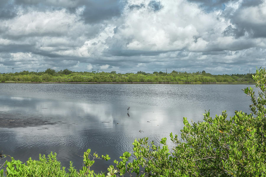 Peaceful Wetlands Photograph by John M Bailey