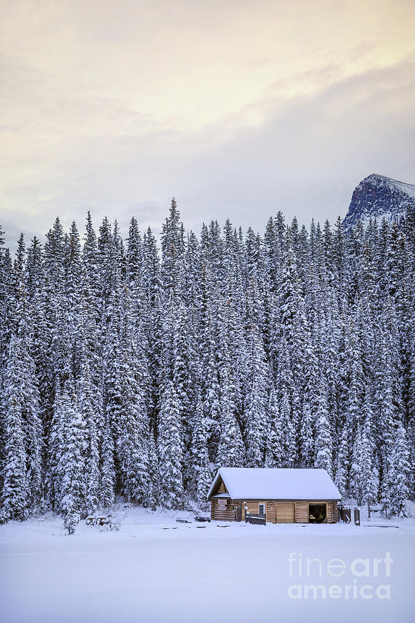 Winter Photograph - Peaceful Widerness by Evelina Kremsdorf