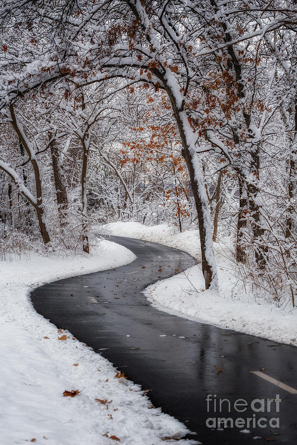 Peaceful Winter Path II Photograph by Kari Yearous