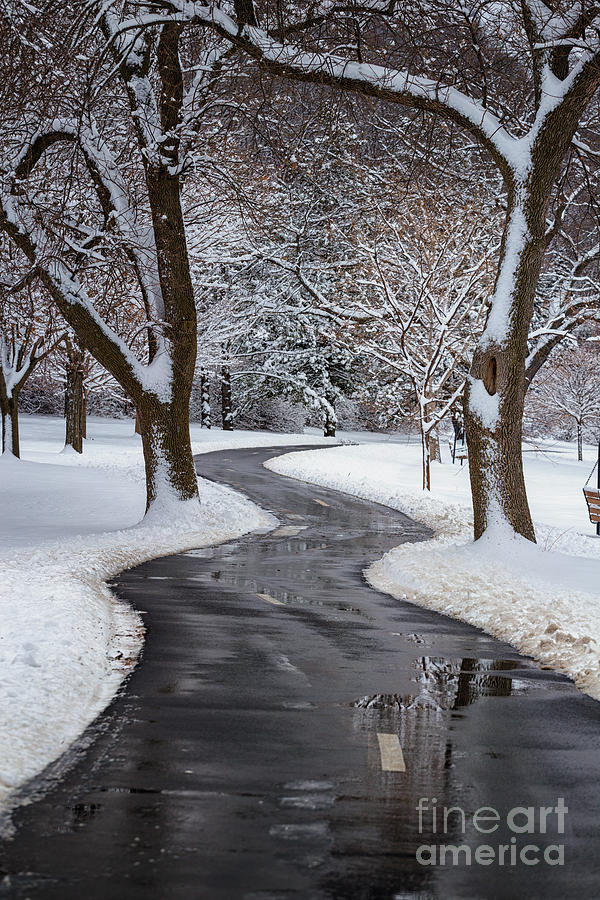 Peaceful Winter Path Photograph by Kari Yearous