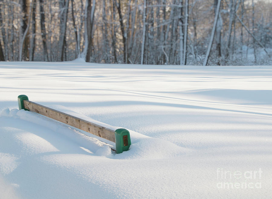 Peaceful Winter Snow Photograph by Elizabeth Dow