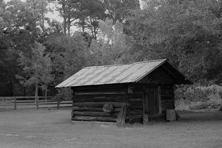 Peacefulness by WhiteoakorganicsLLC Gallery Peacefulness by WhiteoakorganicsLLC Gallery