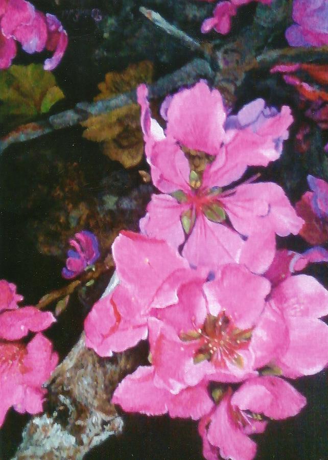 Flower Painting - Peach Blossoms by Debra Edelman