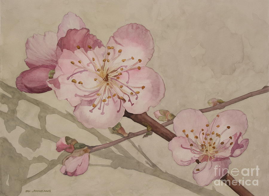 Peach Blossoms Painting by Jan Lawnikanis