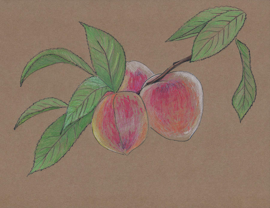 Peach Branch Painting by Masha Batkova