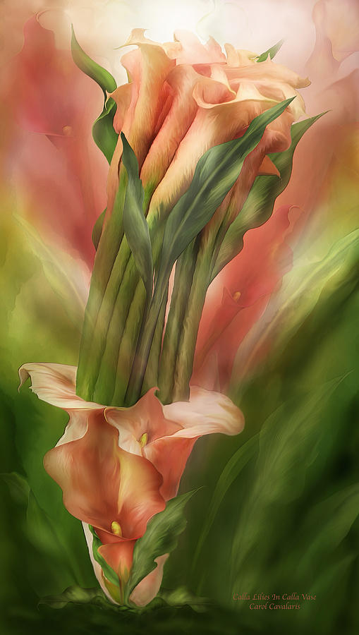 Peach Calla Lilies In Calla Vase Mixed Media by Carol Cavalaris