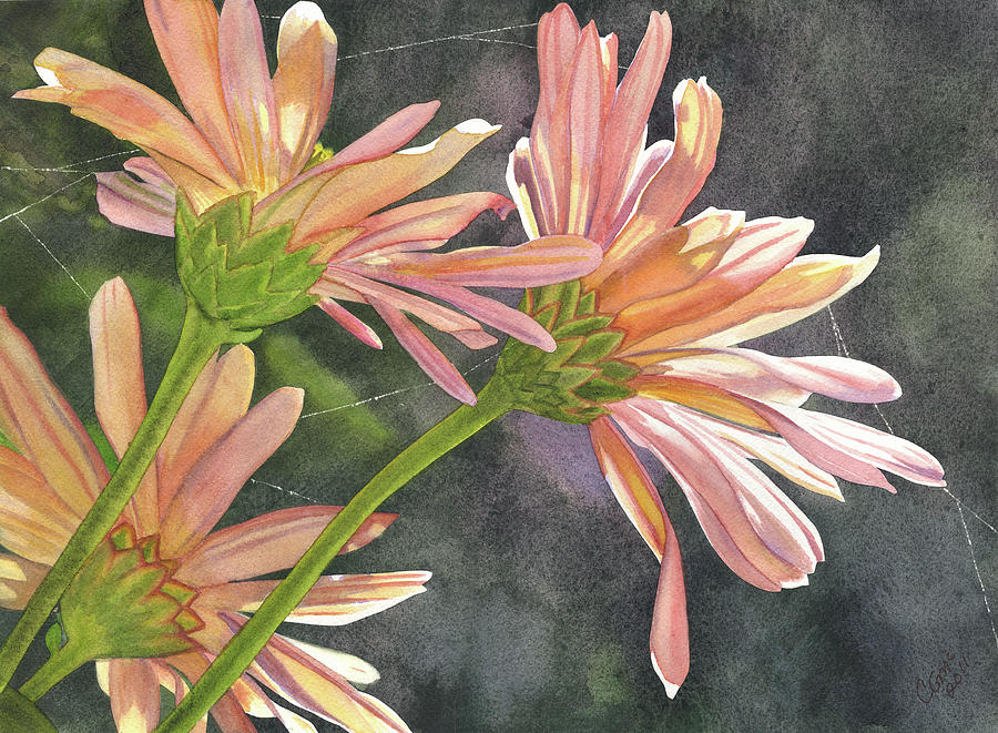 Peach Chrysanthemums Painting by Catherine G McElroy