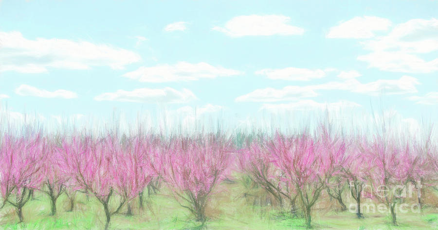 Peach Farm Digital Painting Digital Art by Andrea Anderegg