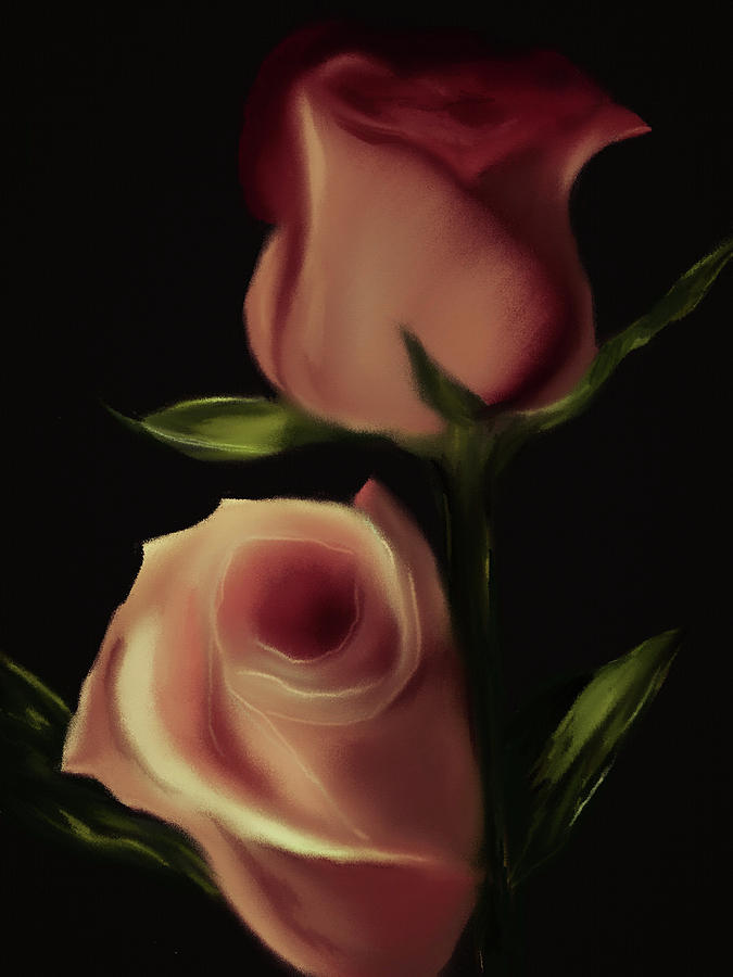 Peach Garden Rose  Digital Art by Michele Koutris