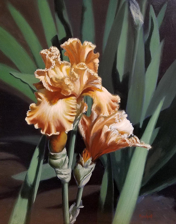 Peach Iris Painting by Linda Merchant