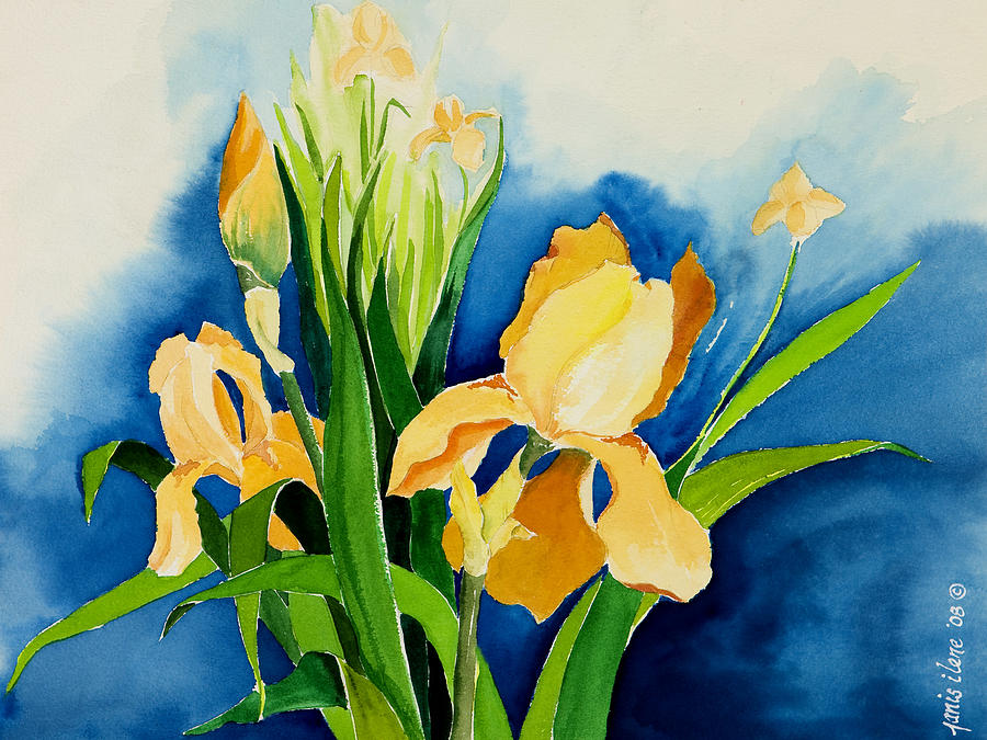 Peach Irises Painting by Janis Grau