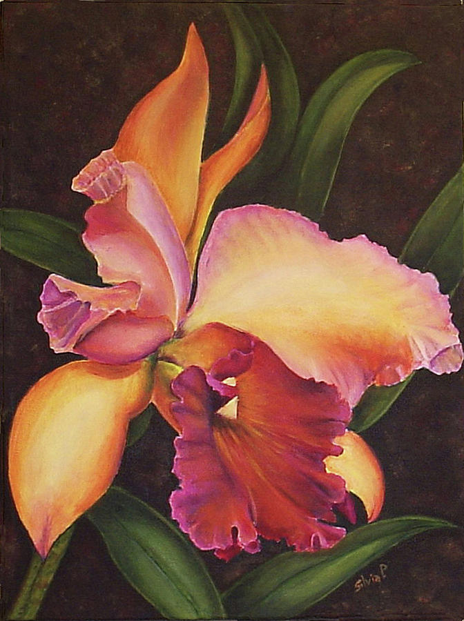Peach Orchid Painting by Silvia Philippsohn