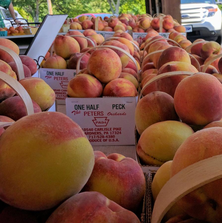 Peaches  Peters Orchards