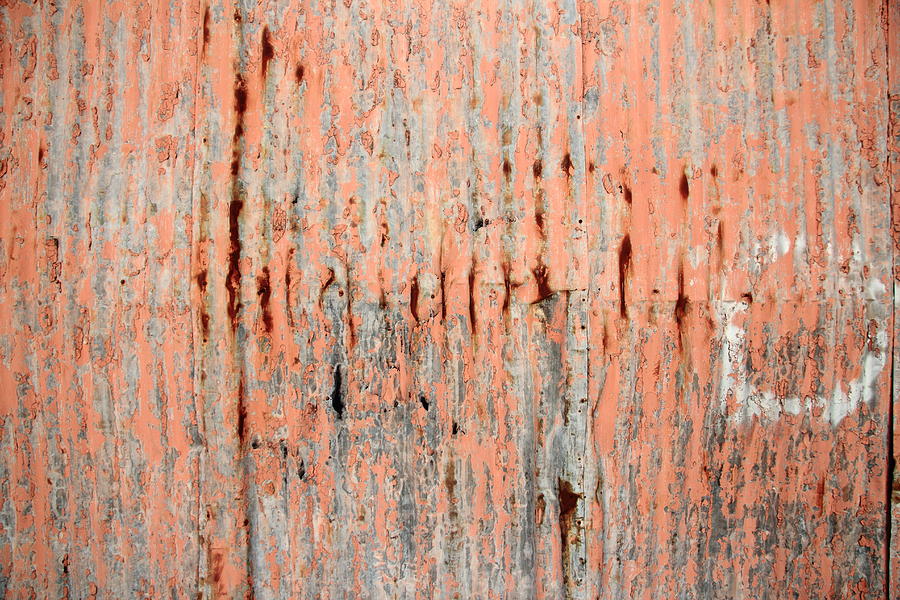Peach Peel Wall Far Photograph by Kreddible Trout