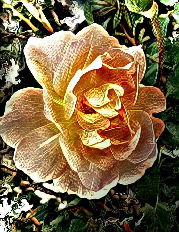 Peach Rose Blossom Digital Art by Artful Oasis