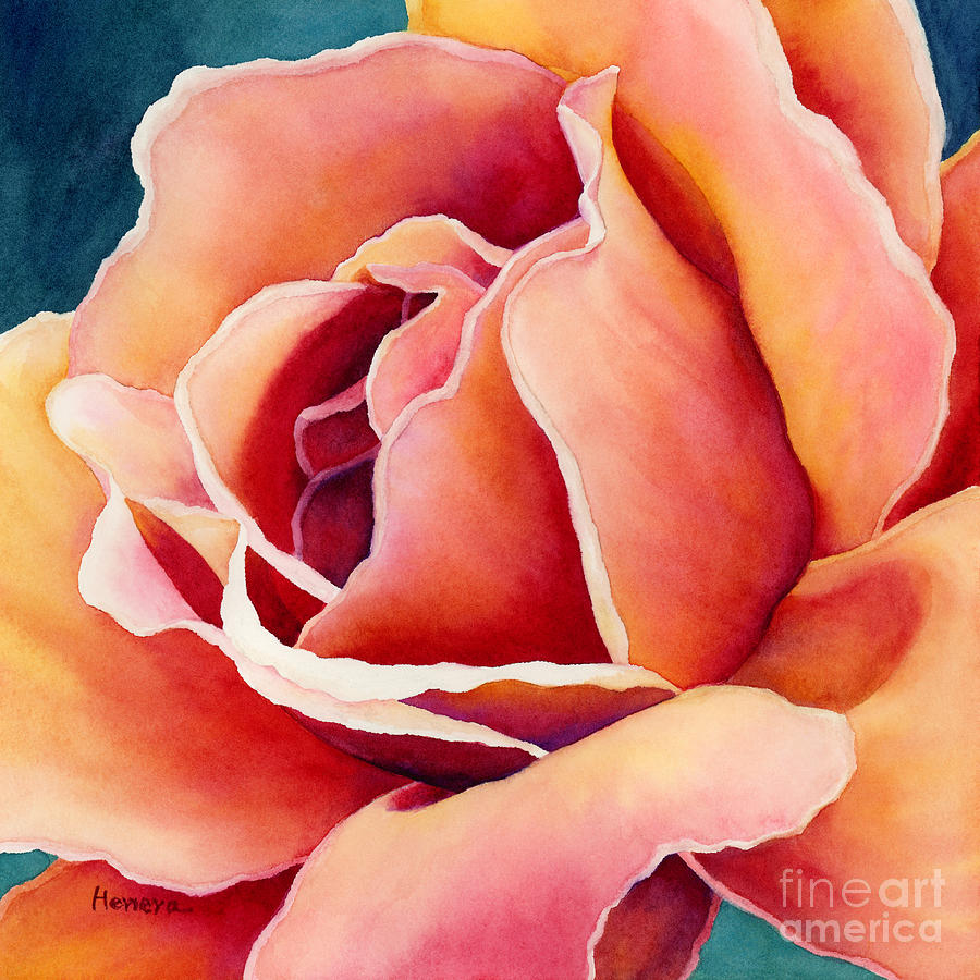 Rose Painting - Peach Rose by Hailey E Herrera
