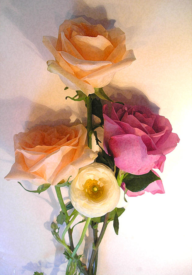 Rose Digital Art - Peach Roses In Shadow by Lisa Fatone
