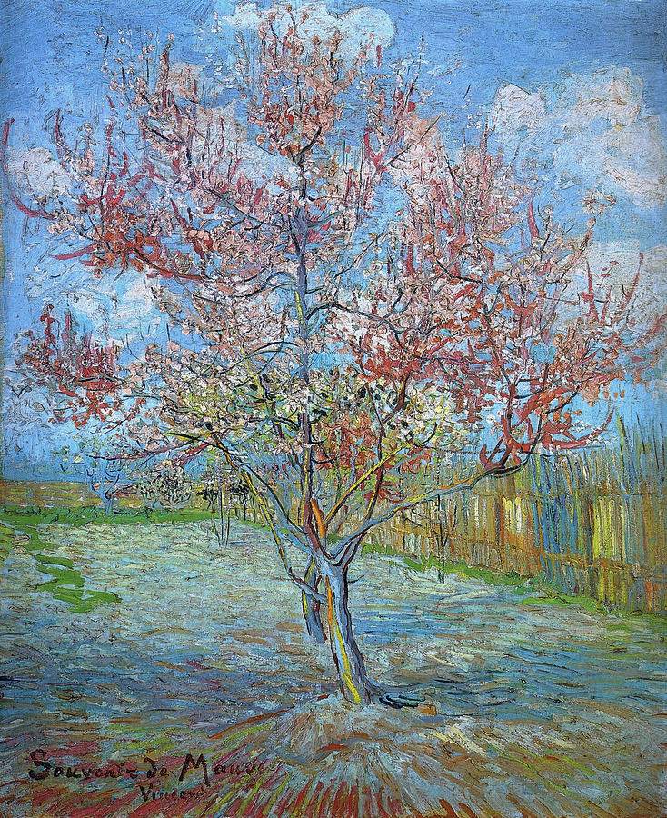 Spring Painting - Peach Tree in Bloom in memory of Mauve, 1888 by Vincent Van Gogh