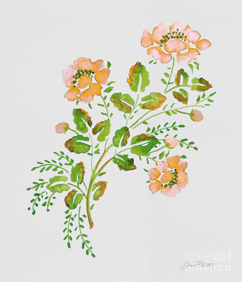 Peach Wild Rose-JP3790 Painting by Jean Plout