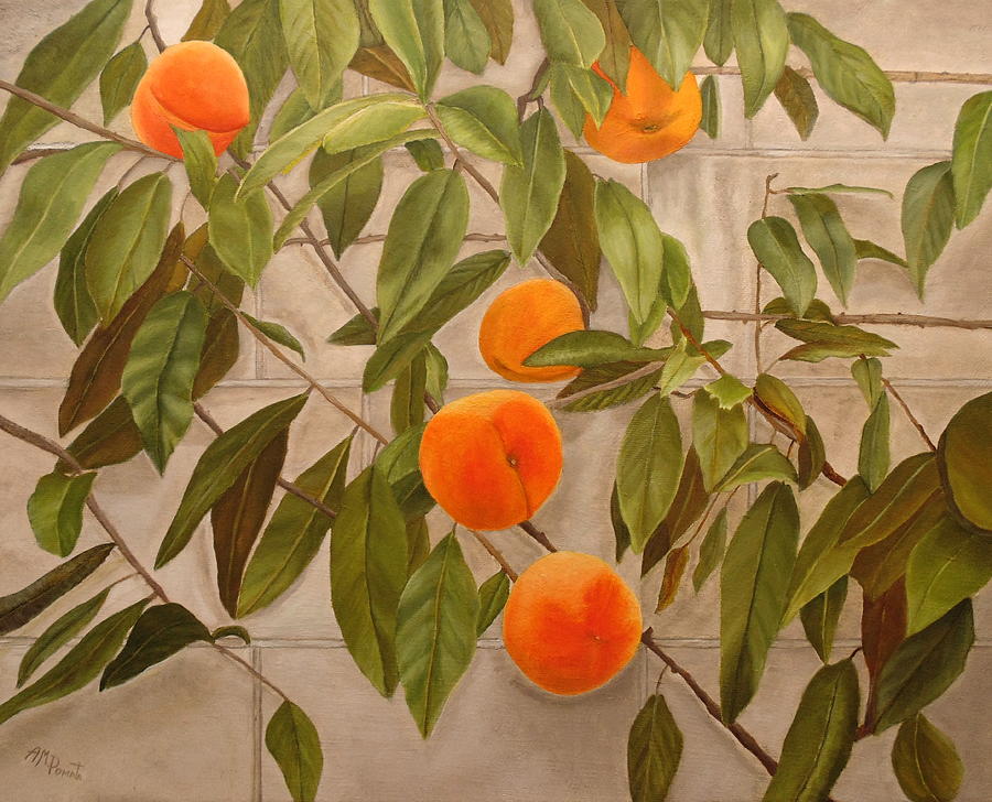 Peach Painting - Peaches by Angeles M Pomata