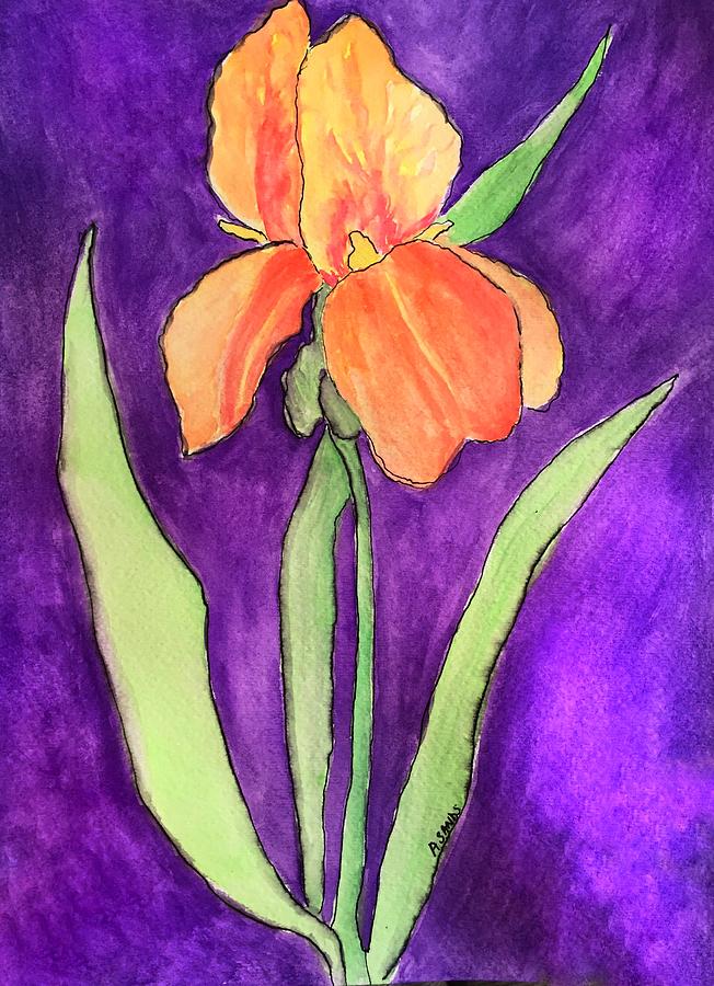 Peachy Iris Painting by Anne Sands