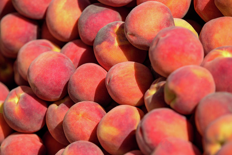 Peach Photograph - Peachy Peaches by Todd Klassy