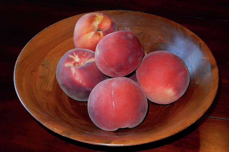 PeachyKeen by My Lens and Eye - Judy Mullan - PeachyKeen by My Lens and Eye - Judy Mullan -