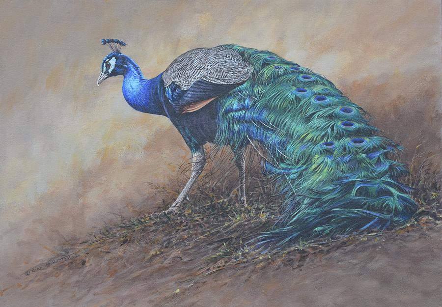 Peacock Painting by Alan M Hunt