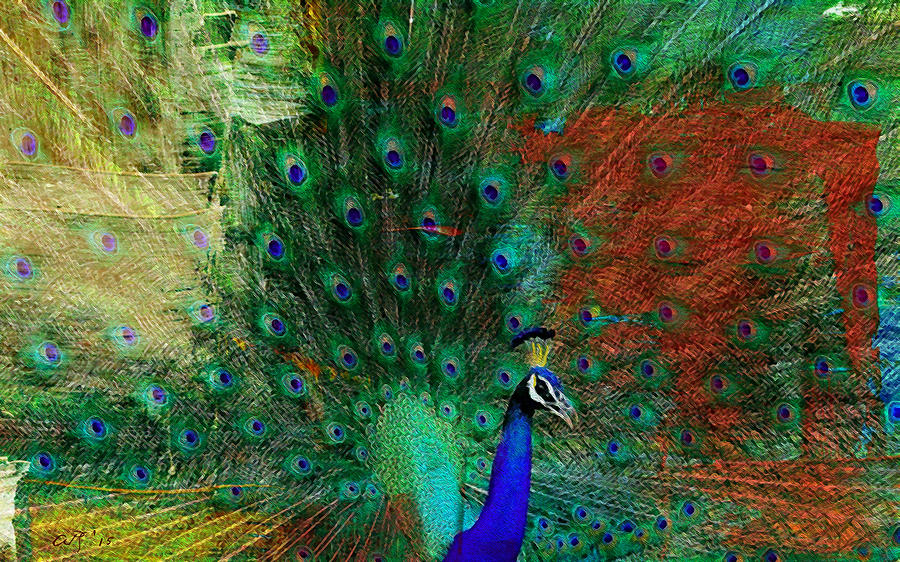 Peacock Painting by Amy Shaw