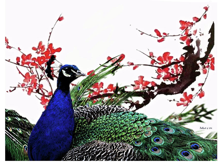 Peacock And Cherry Blossoms Painting by Thomas Pollart