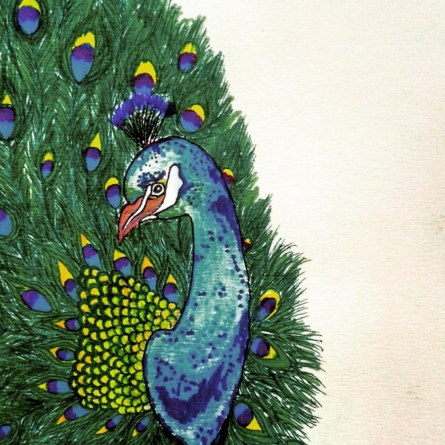 How to Draw a Peacock - HelloArtsy