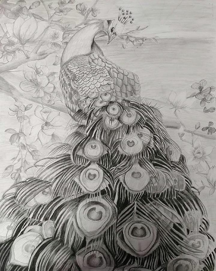 Colorful Peacock - drawing watercolor handmade