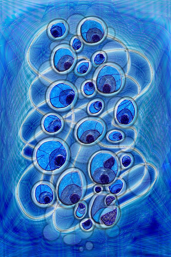 Abstract Digital Art - Peacock Bubbles by Mark Sellers