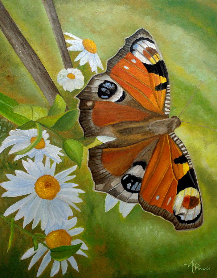 Butterfly Painting - Peacock Butterfly by Angeles M Pomata
