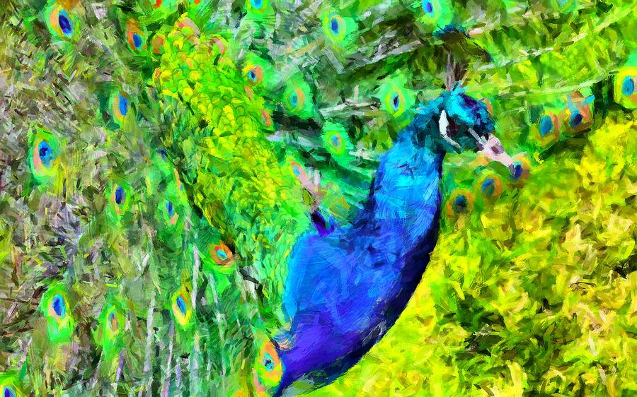 Peacock Digital Art by Caito Junqueira