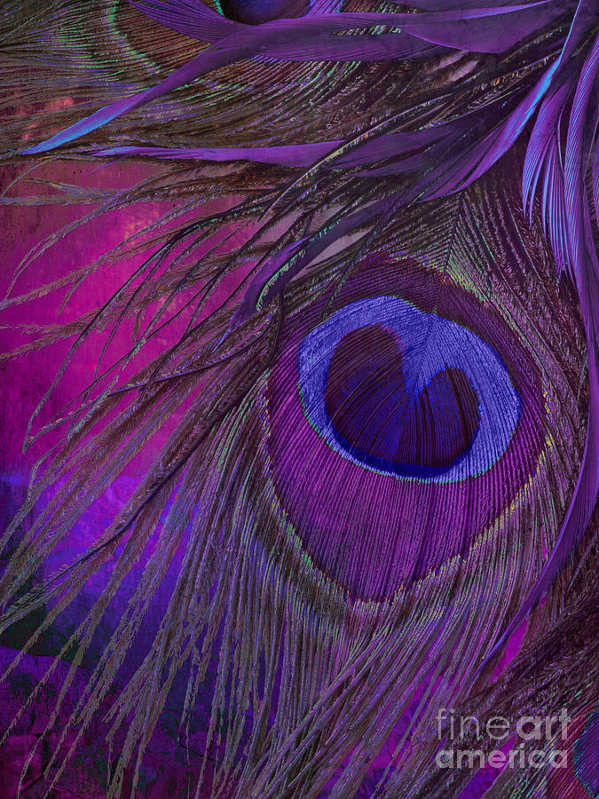 Peacock Painting - Peacock Candy Purple  by Mindy Sommers