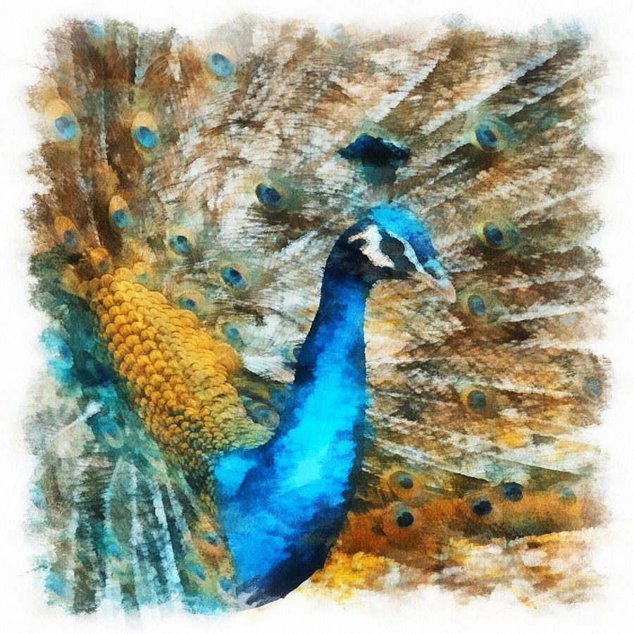 Peacock Digital Art by Charmaine Zoe