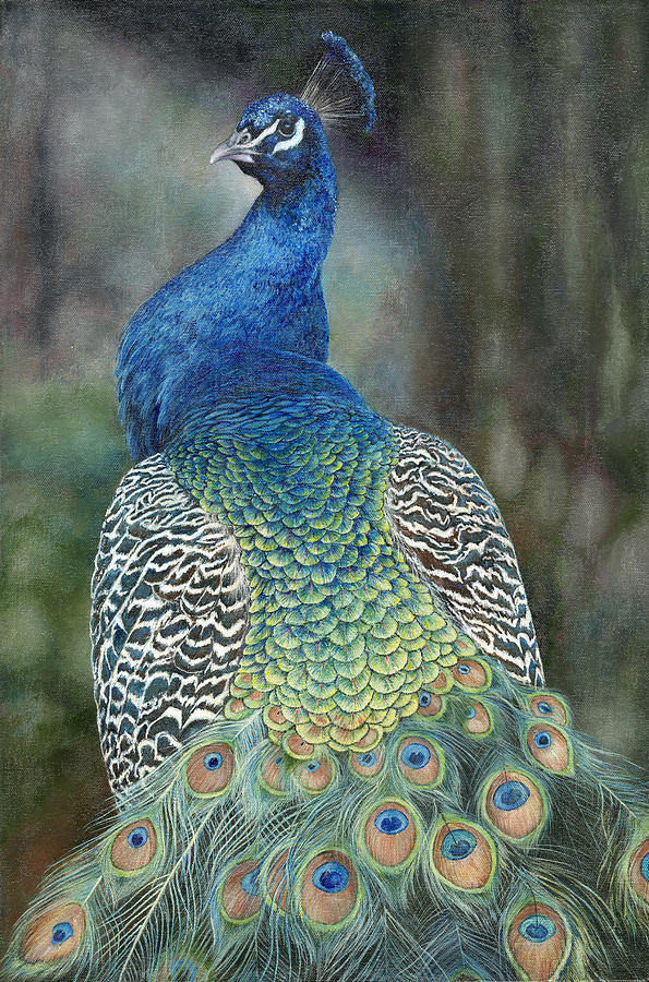 Peacock Painting by Edmund Price - Fine Art America