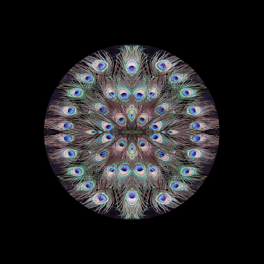 Peacock Eye Kaleidoscope Digital Art by Julia L Wright