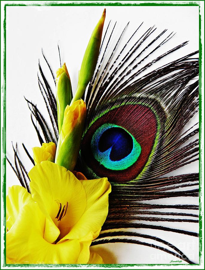 Flower Photograph - Peacock Feather and Gladiola 3 by Sarah Loft