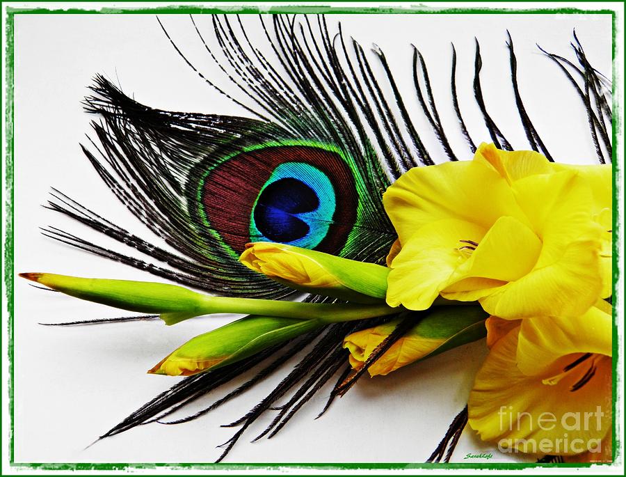 Flower Photograph - Peacock Feather and Gladiola 4 by Sarah Loft