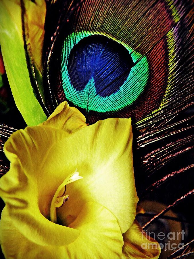 Peacock Feather and Gladiola Photograph by Sarah Loft
