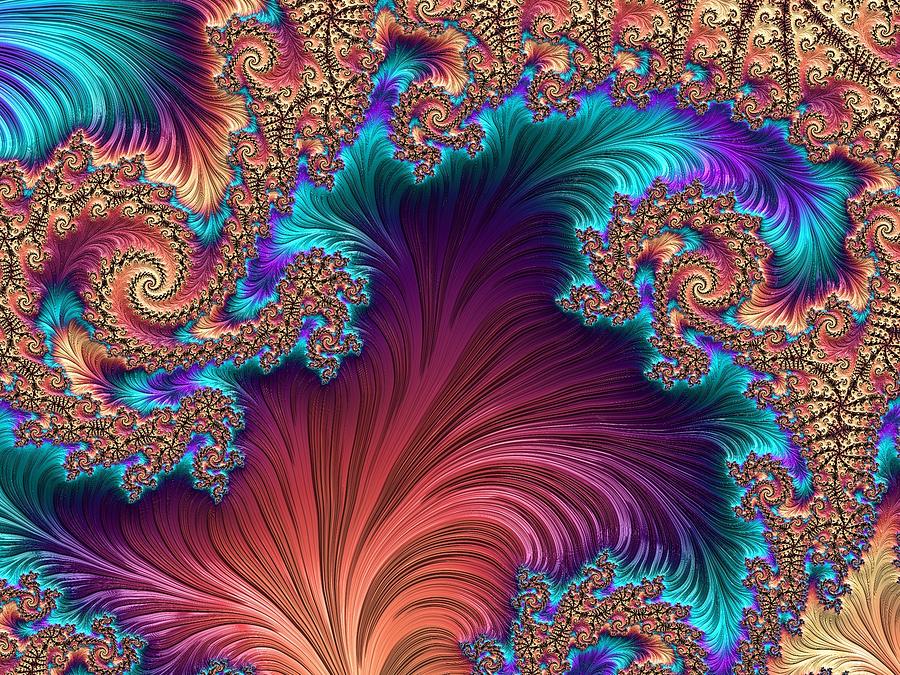 Peacock Feather Digital Art by Kreative Minds Technology - Fine Art America