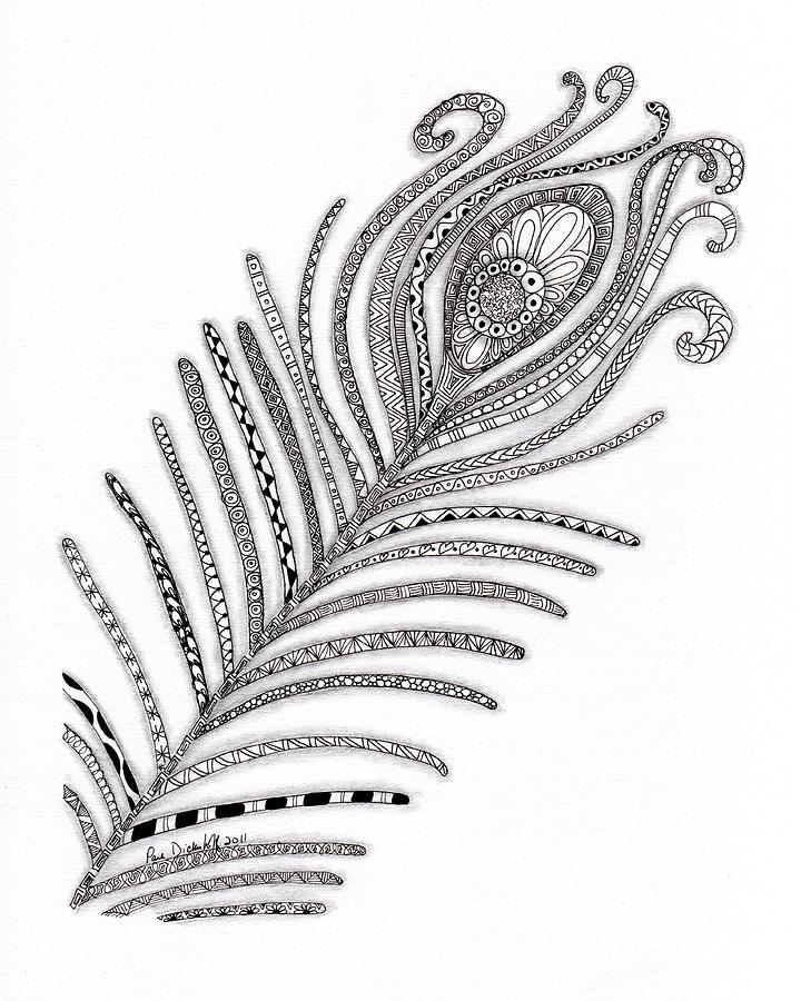 Peacock Drawing - Peacock Feather by Paula Dickerhoff