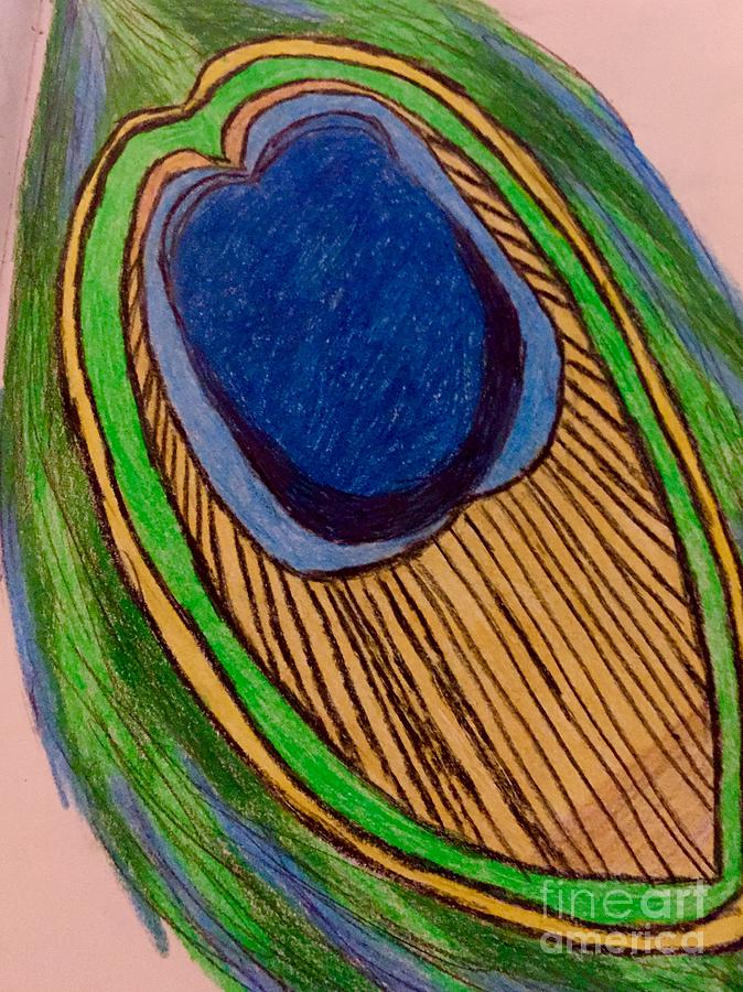 Peacock Feather Drawing by Shylee Charlton | Fine Art America