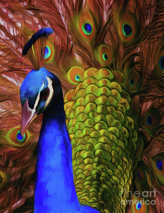 Peacock feathers  Painting by Gull G