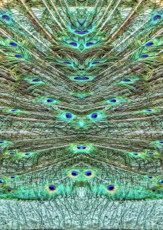 Peacock Feathers Image Pareidolia Photograph by Constantine Gregory