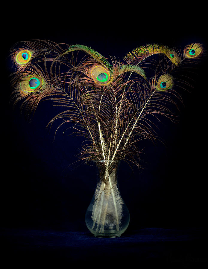 Peacock Feathers in vase Photograph by Rudy Umans